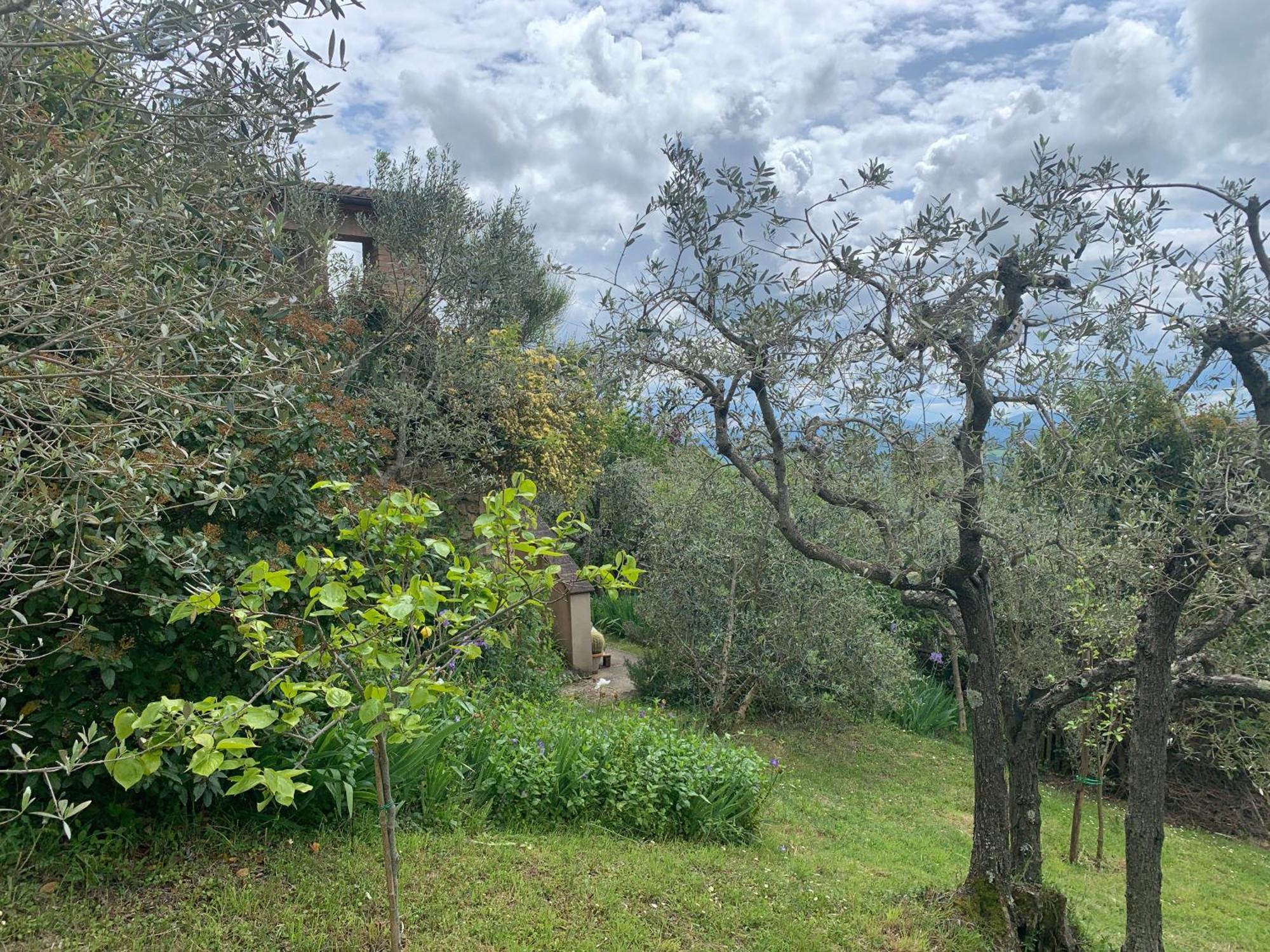 Podere Casallorto Volterra Exterior photo